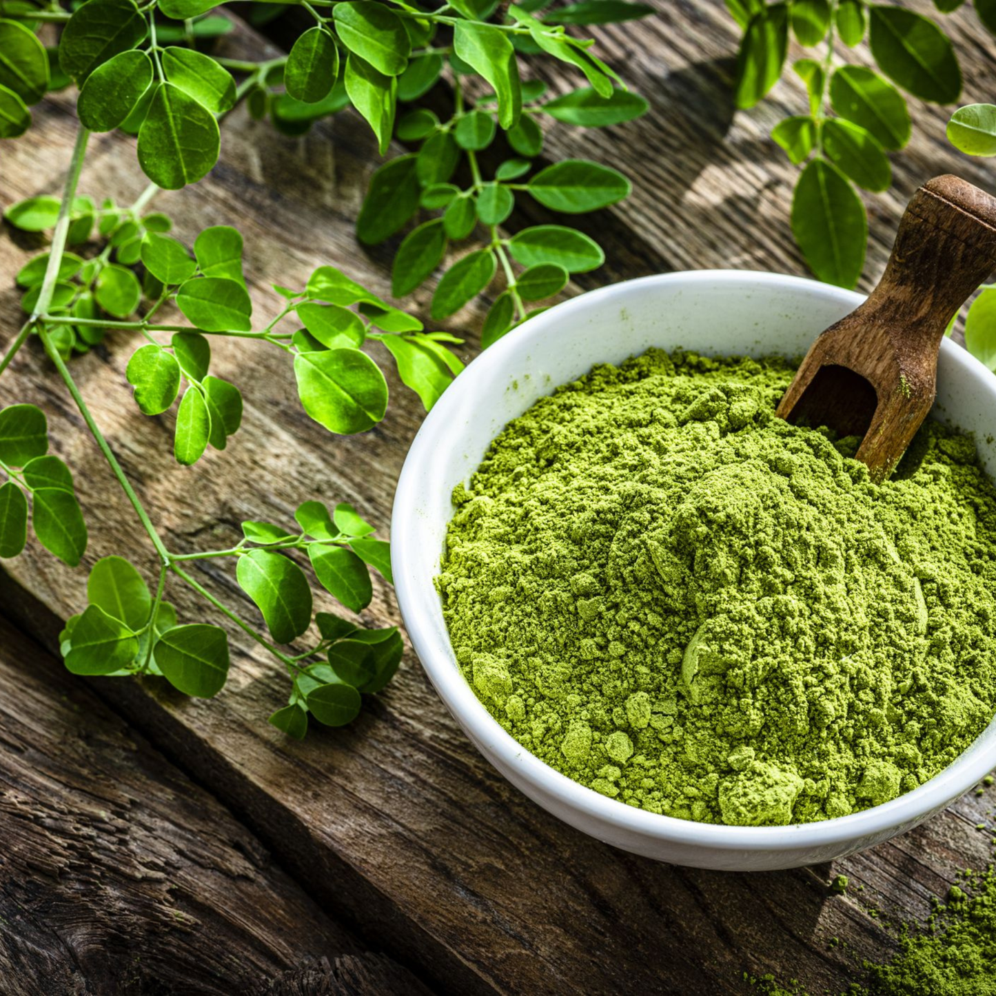 Moringa Poeder (natuurlijke multivitaminen)
