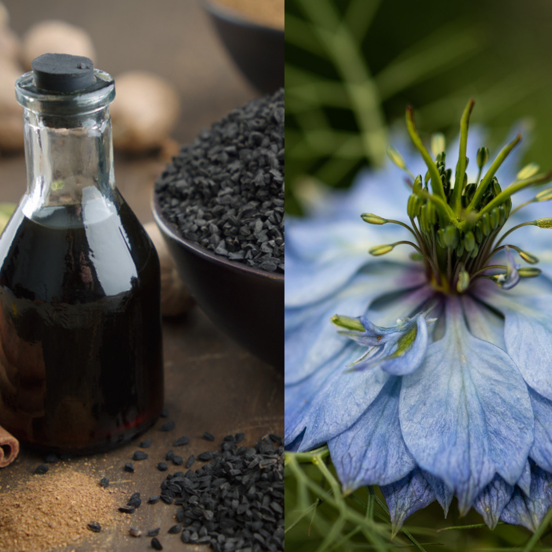 Pure zwarte zaad olie capsules