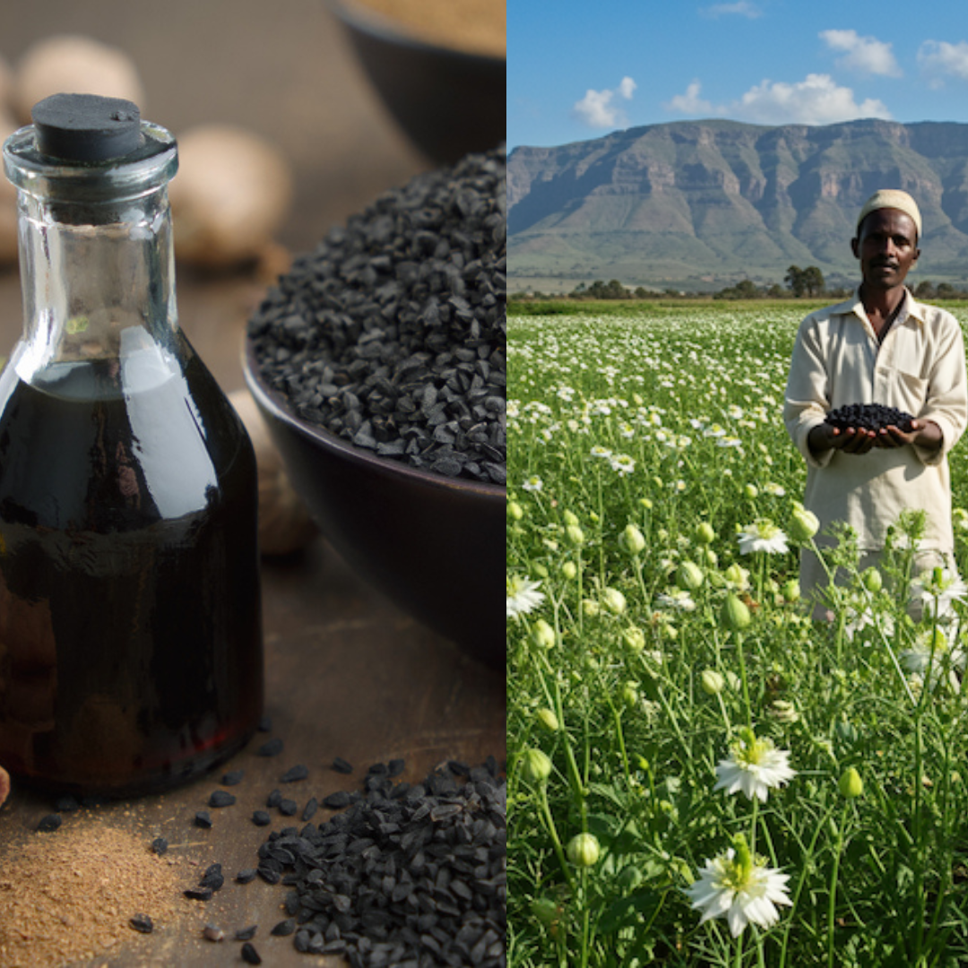 Pure Zwarte Zaad Olie (Sterkste van NL)