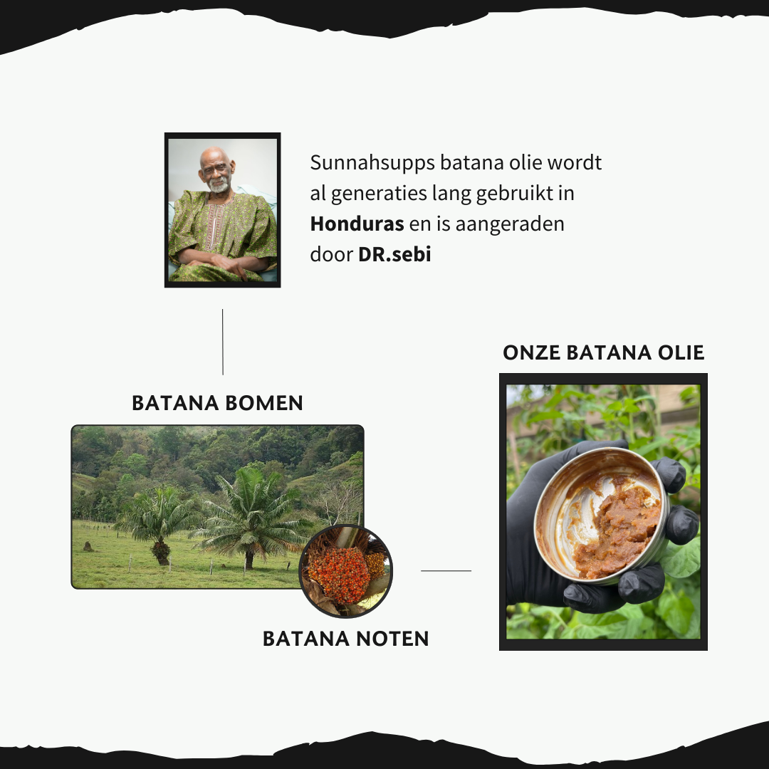 Pure Batana Olie (haargroei booster)