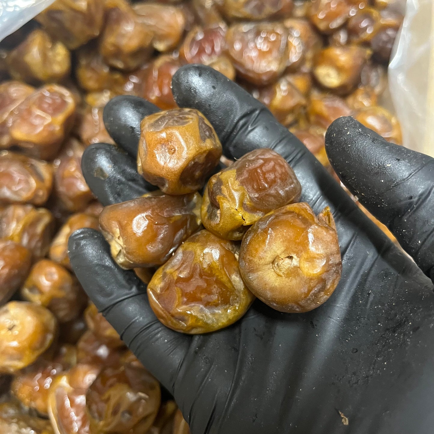 Premium verse Dalia Sukkary dadels