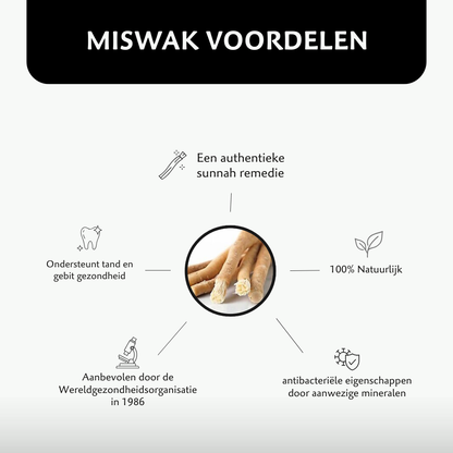 Premium Miswak Stokjes