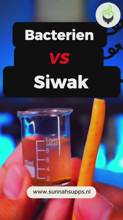 Premium Miswak Stokjes